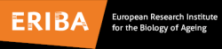 logo ERIBA