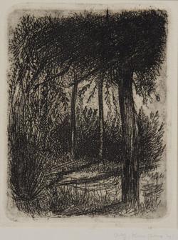 Abe Kuipers<br />Bos