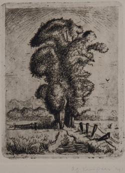 Abe Kuipers<br />Landschap met bomen