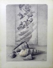 Evert Musch<br />Schelpen 7