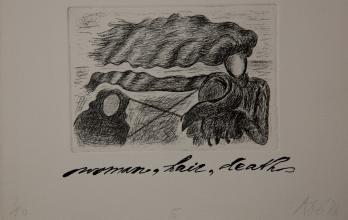 Abe Kuipers<br />Woman, hair, death
