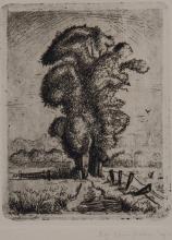 Abe Kuipers<br />Landschap met bomen
